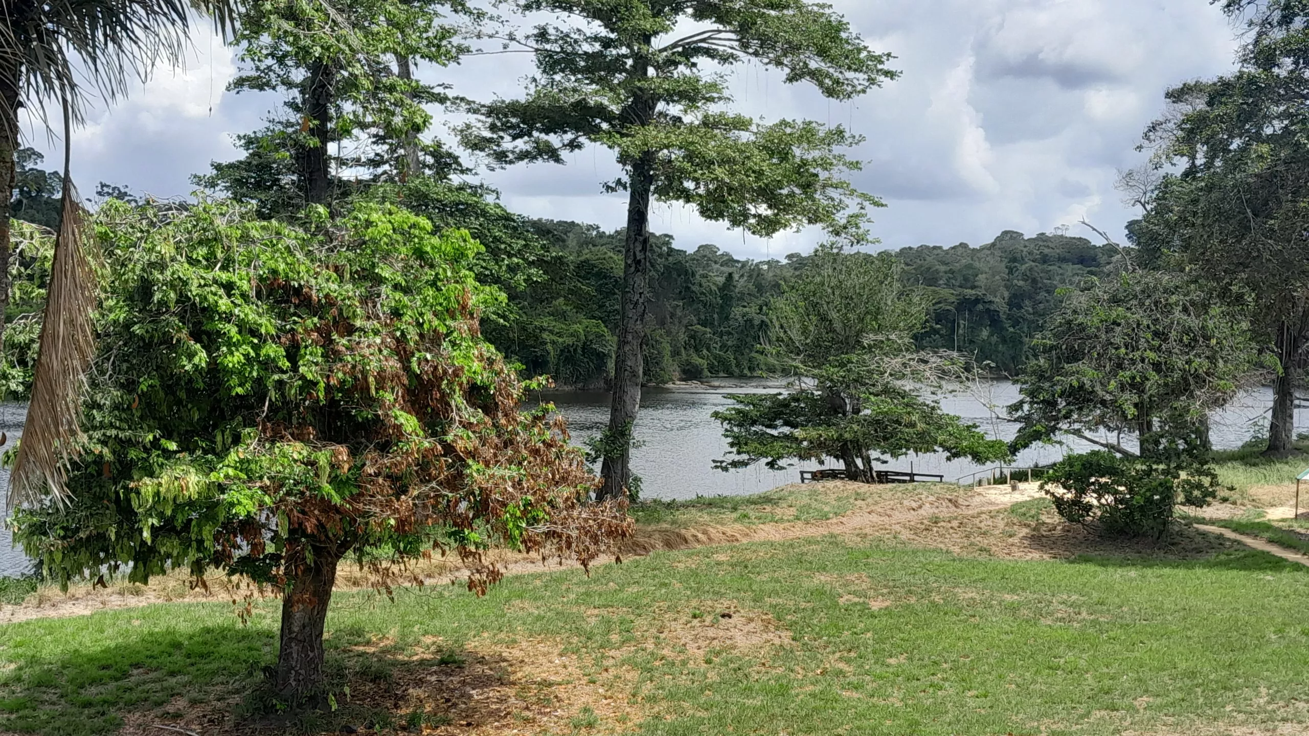 Palumue lodge view