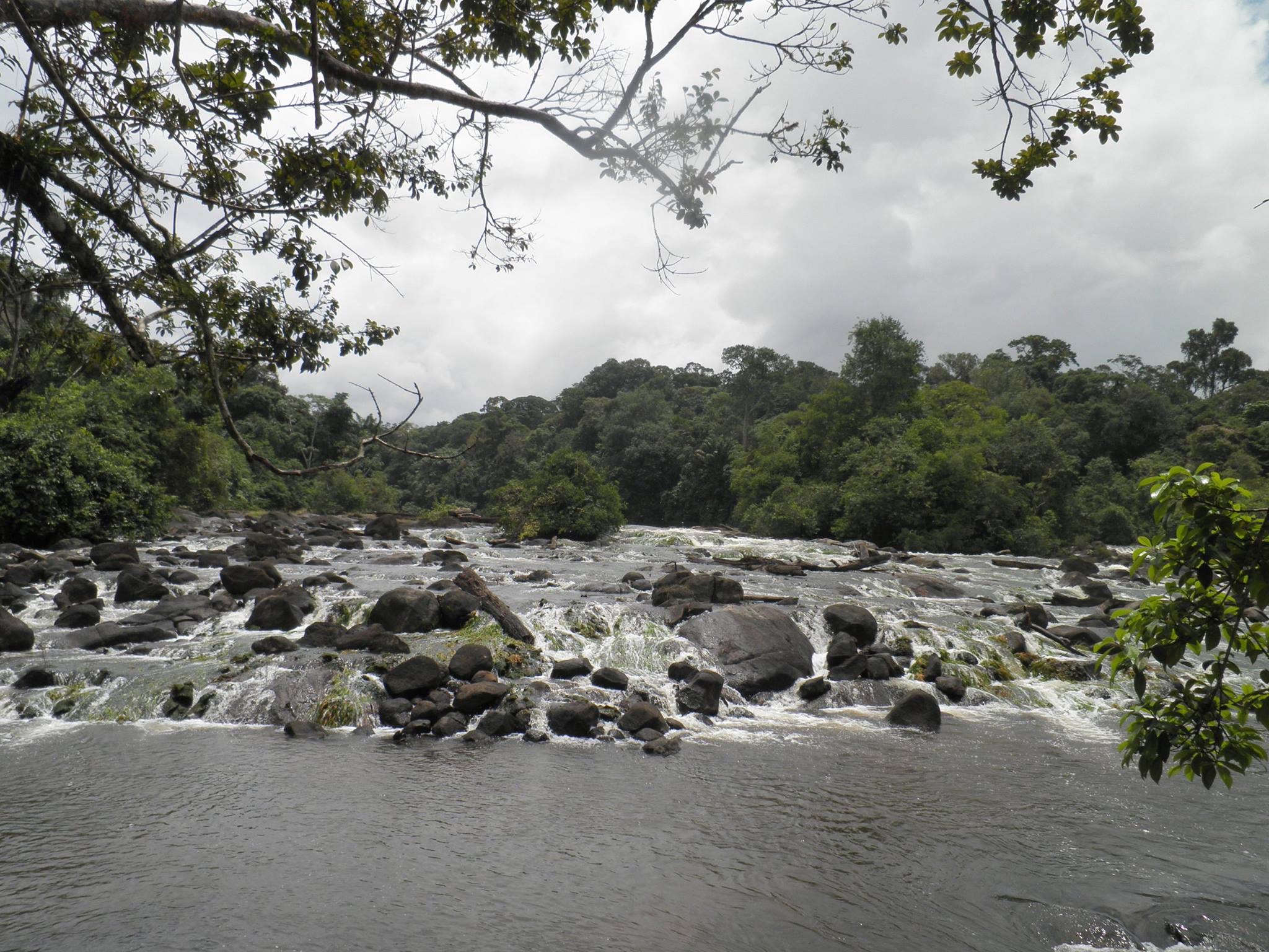 Rondreizen door Suriname in 2025
