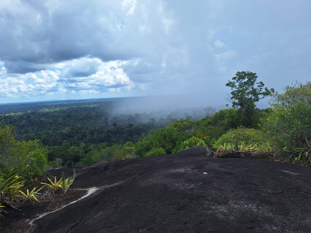 Beste Tijd om Suriname te Bezoeken in 2025