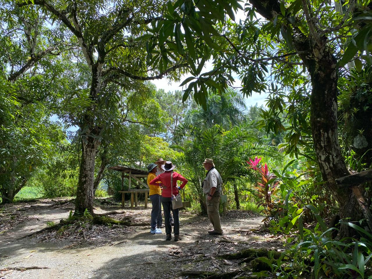 Plantage Bakkie tuin