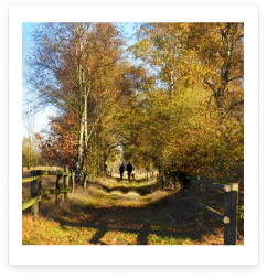 wandelen