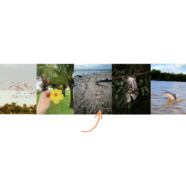 Waarom vakantie Suriname. Waarom Suriname anders is dan mensen denken